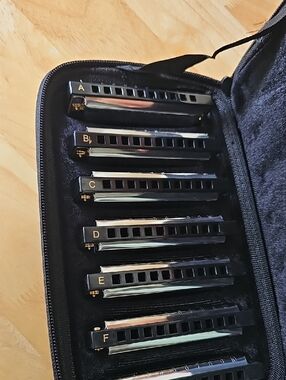 Chromatic Harmonica Set - Labeled A to G - Black & Silver